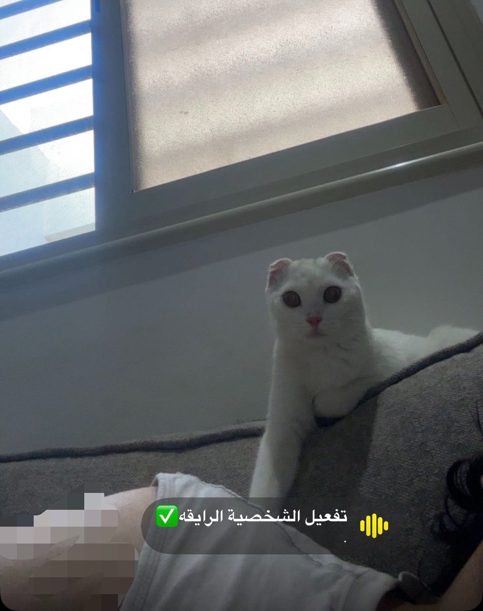 hil_l7's tweet photo. انوسه🥺 https://t.co/0OxmtpnLkZ