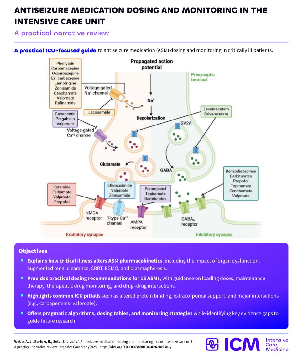 CritCareReviews's tweet photo. Antiseizure medication dosing and monitoring in the intensive care unit: a practical narrative review

CCR Journal Watch
https://t.co/Sp06oA6IDG https://t.co/ZrGgb8rRTB