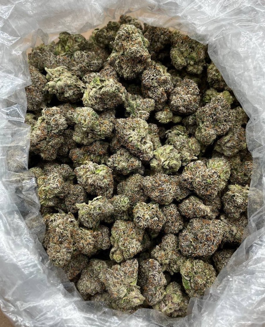 goodluck4ever's tweet photo. Get top-shelf exotic weed and premium buds, plus a wide range of weed vape, disposable carts, edibles, hash, rosins, and pre-rolls. Active plug available in" Riyadh, Jeddah, Dammam, Khobar, Madinah, Mecca, Doha, Al Rayyan, Abu Dhabi, Dubai, Sharjah, Ajman, Kuwait City, marrakesh https://t.co/kH6nhn2mNa