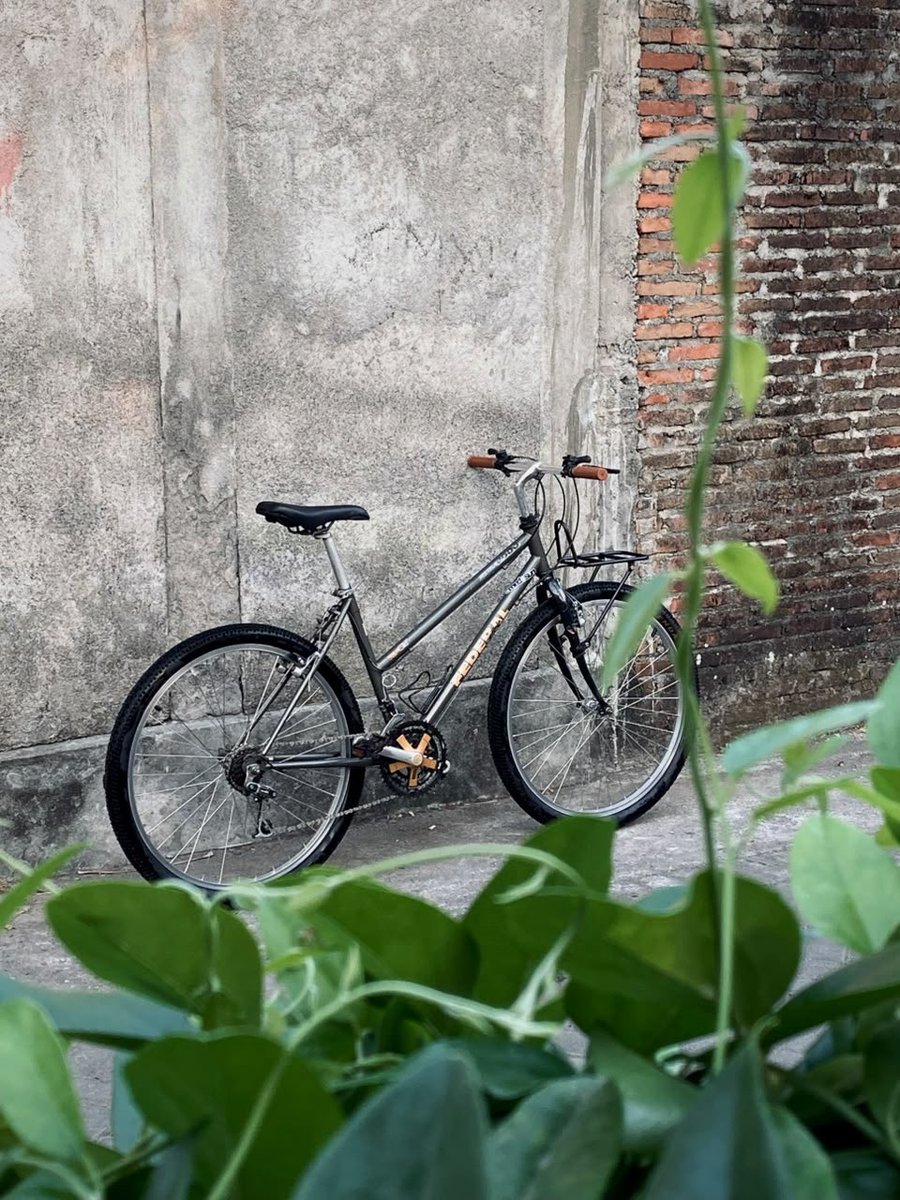bagasthar_'s tweet photo. Diniagakan
Federal Lady wildcat
Size 18

Lokasi Jogja https://t.co/9k4y44hgmh
