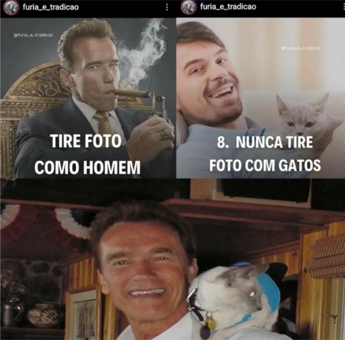 shitpostverdade's tweet photo. https://t.co/zu7q6OTCfg