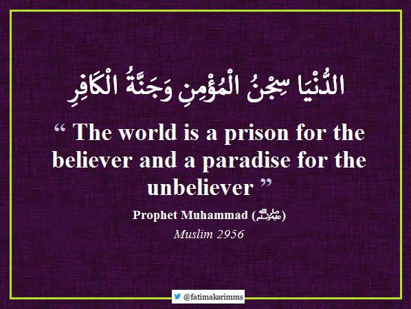 Azharbint1's tweet photo. Hadith of the day:
The messenger of Allah (SAW) said: https://t.co/v7xo3KAEMj