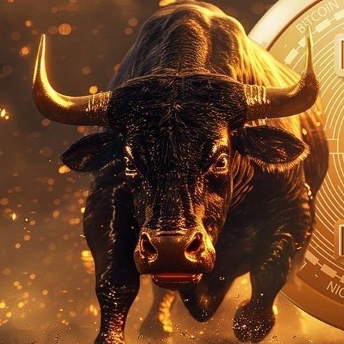 bitcoinlfgo's tweet photo. 💥BREAKING 

THE BIGGES BULL RUN EVER IS COMING 🔥 

ANALYSTS CALL FOR $500K TO $1 MILLION PER BITCOIN 

MAKE SURE YOU ARE FOLLOWING US https://t.co/oZQDHaEhs7