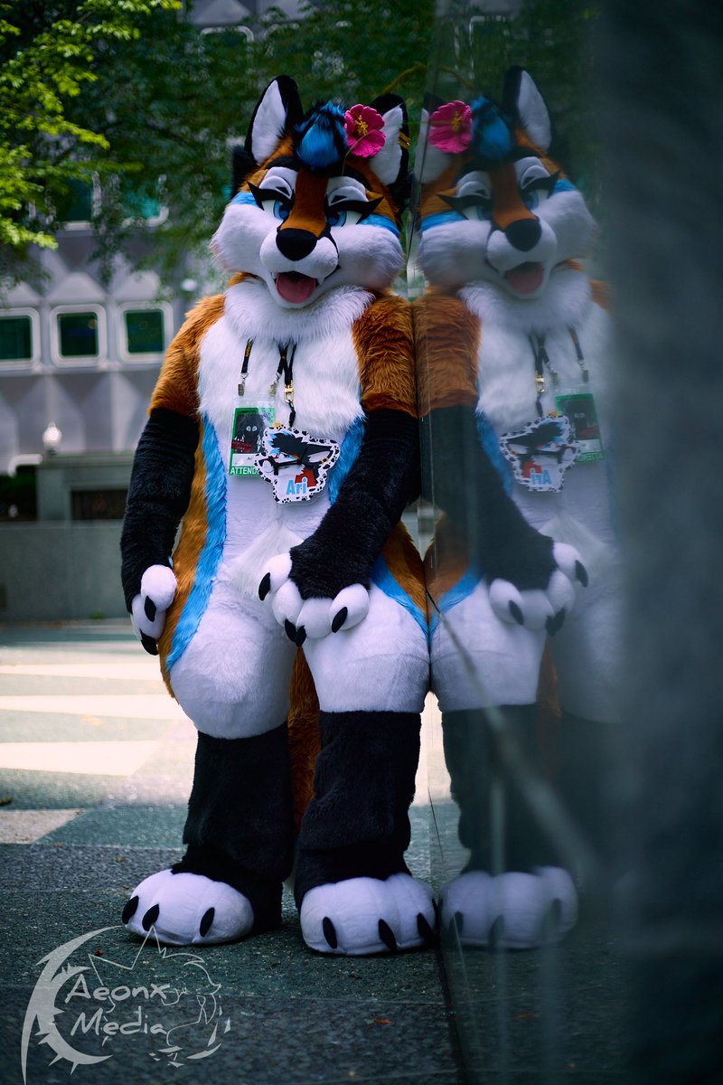 FoxNamedAri's tweet photo. Have you considered two fops?

🪡 - @WildcatCostumes 
📷 - @aeonx_LR https://t.co/euK6LnFzgT