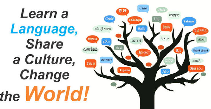 UpstateInt_SC's tweet photo. Upstate International Fall term Language classes now open for registration. Aug 24 - Dec 15 for many classes. More info: https://t.co/HpJYKwzElk 
Take a class, tell a friend, meet new people, and discover a new culture https://t.co/dM6TYZCeSm