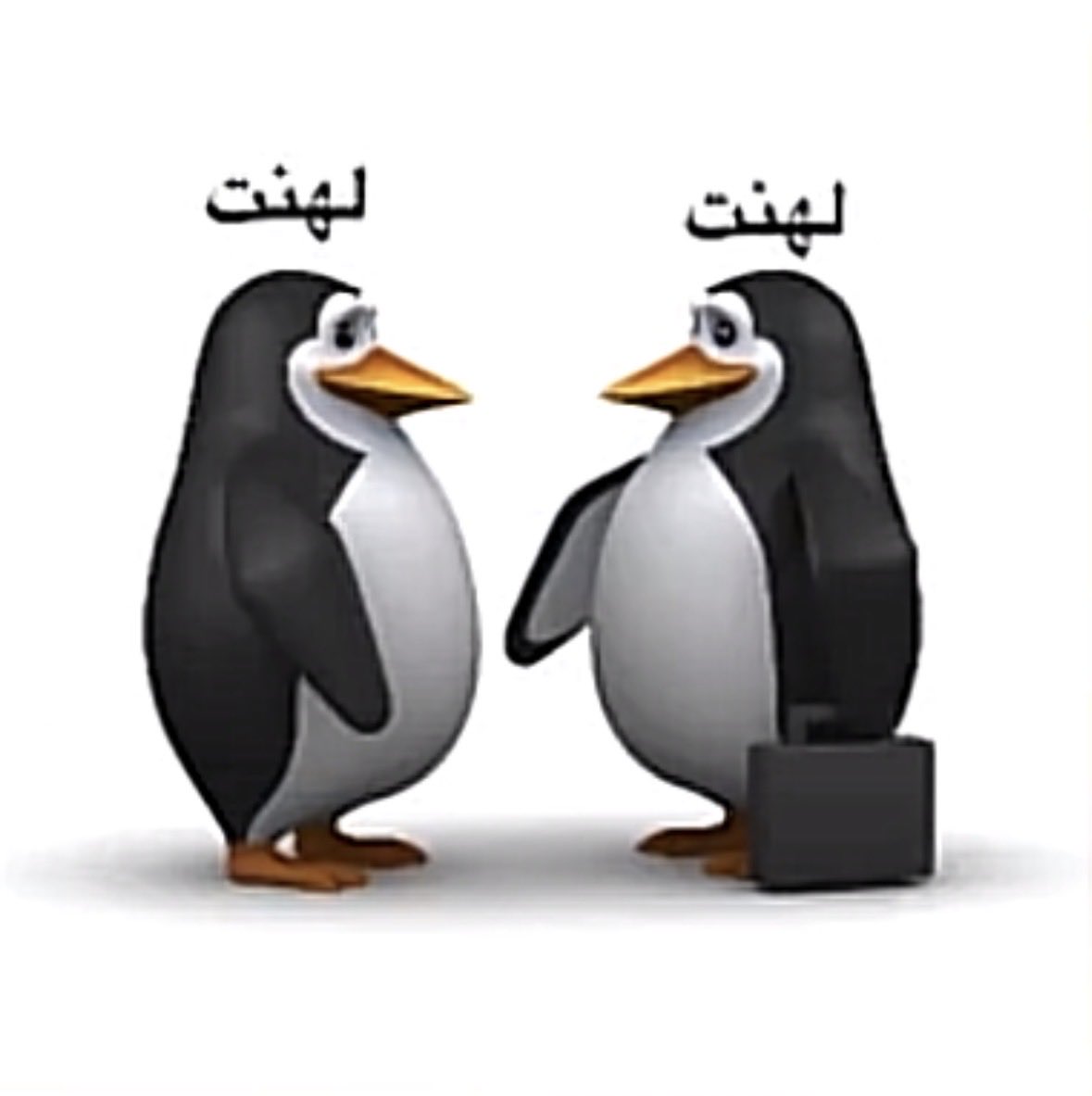 diil3x's tweet photo. https://t.co/xFY3MxcbxR