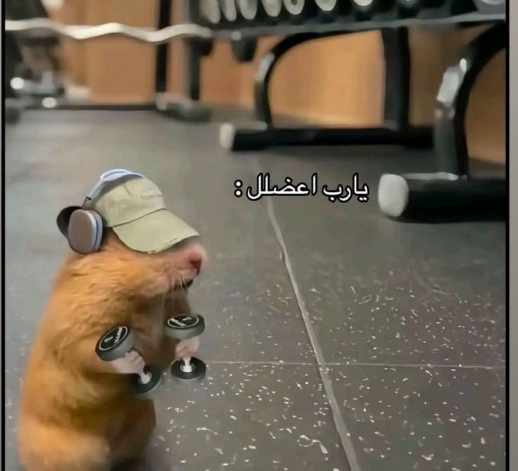 rumaissa11's tweet photo. U can call me gym girl now 🤝😌 https://t.co/1BFGHZSRkS