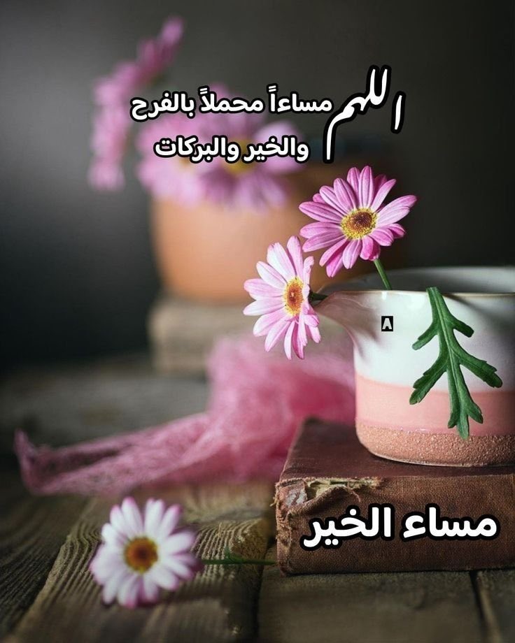 ReemasAlbdryeh's tweet photo. مساء الخير لكل من أنهى يومه بقلبٍ راضٍ ولكل من لا يزال ينتظر فرجًا قريبًا أسأل الله أن يجعل مساءكم سكينة، ويملأ قلوبكم راحةً وأملًا، ويبارك لكم فيما تبقى من يومكم. #مساء_الخير https://t.co/c5MP1G8HhJ