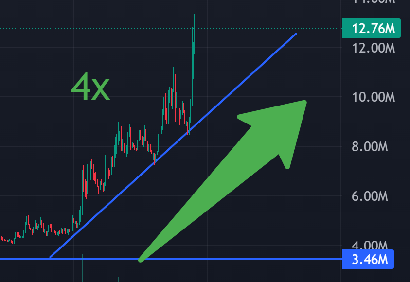 voidvoid77's tweet photo. $CATE Up 4x in less than 2 days  One of the strongest communities I've seen in a long time who can actually hold a coin for longer than 5 minutes   

We need more of this in the trenches https://t.co/LCZg7kvqhH