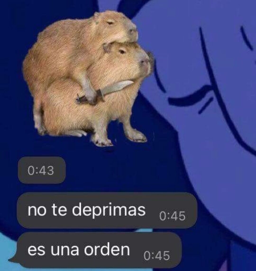 flanchota's tweet photo. yo todos los dias: https://t.co/3ma49RIAdn