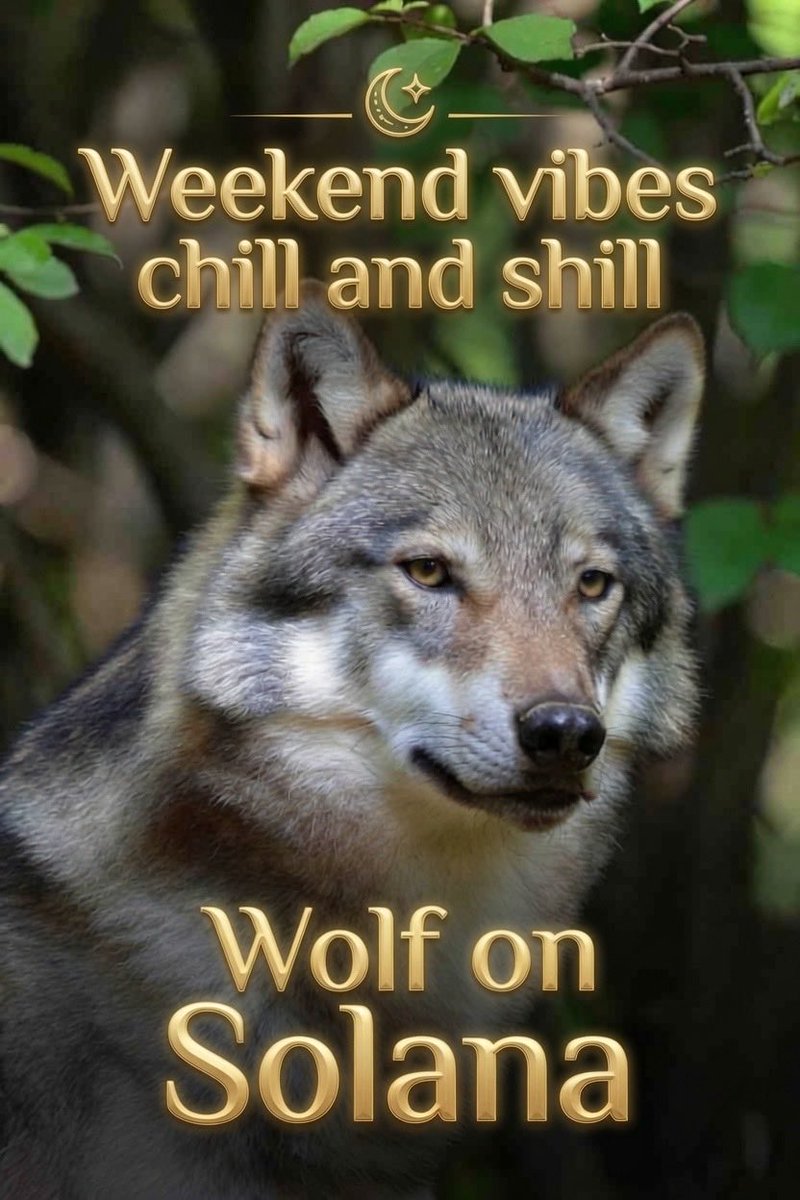 WolfonSolana00's tweet photo. Happy weekend and happy new month Wolfers . 

The first ever invite contest has just begun. You can win big prizes. Tag 3 friends and invite them to join the community.

Weekend vibes chill and shill 🐺
Early holders get the best rewards 💰
Buy now you are early. Hold for the long term 💎

New community engagement coming soon. Stay informed. 

Be ready for big rewards. 
Wolf on Solana is the future for the crypto space. Join the epic journey 🚀

$WOS
#Contest  
CA:

EkxgiWyRRZP3pLZKyG832zbKBBmbor26byxRggCQpump
