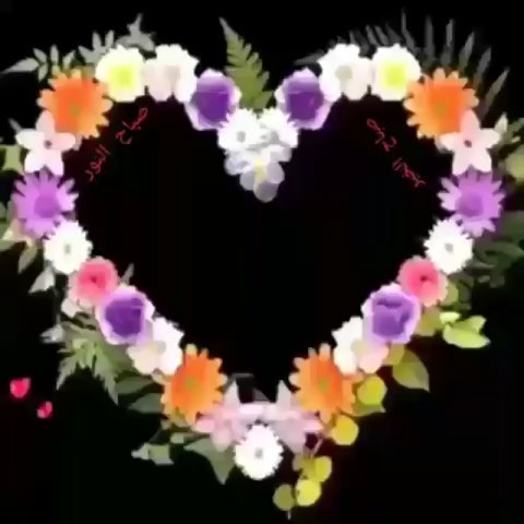 amerat_roozces's tweet photo. https://t.co/FRRCFXNCTJ