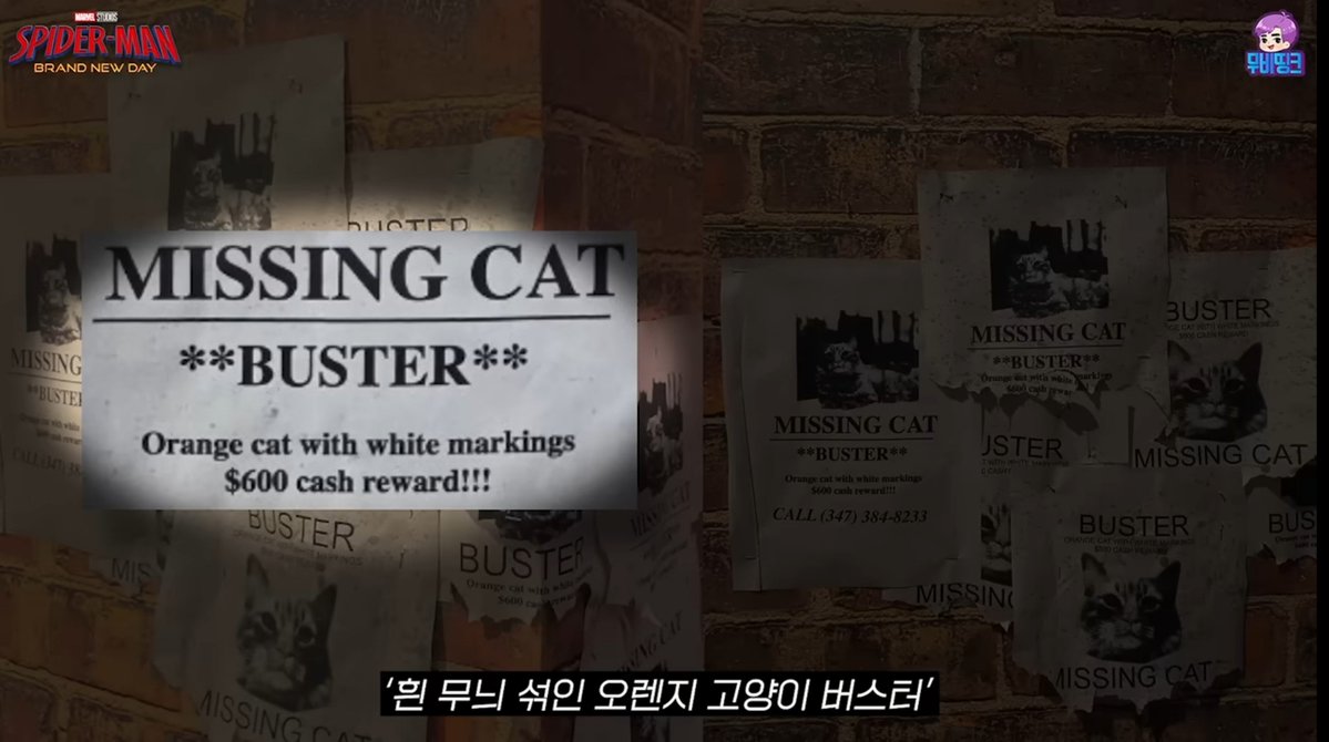 TSPP26's tweet photo. 다들 궁금하셨구나..
재밌는 추측있어서 가져와봅니다

고양이😺 사례금 헌터 스파이더맨 https://t.co/bPd6gm8ilc