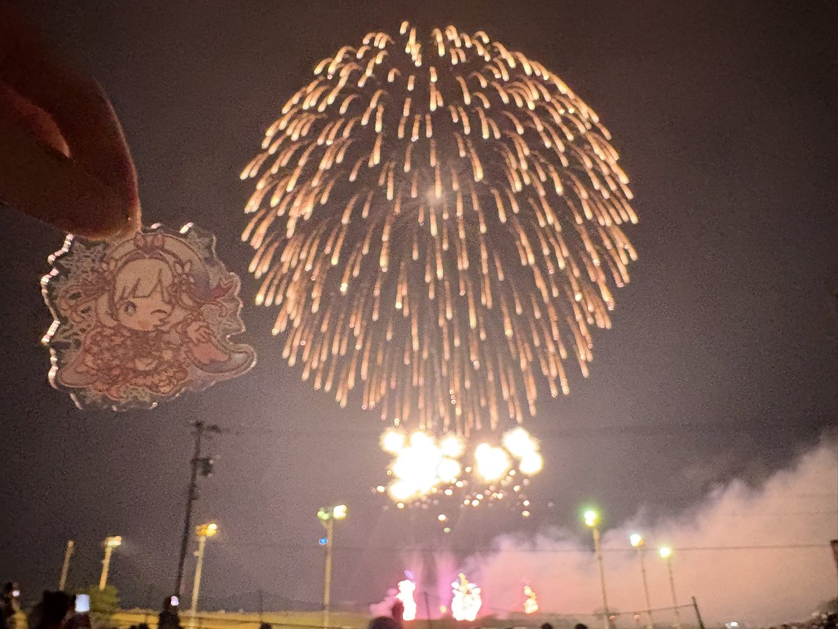 DeliciousTarako's tweet photo. 今日は花火の日🎆 https://t.co/VLTQnx9rZL
