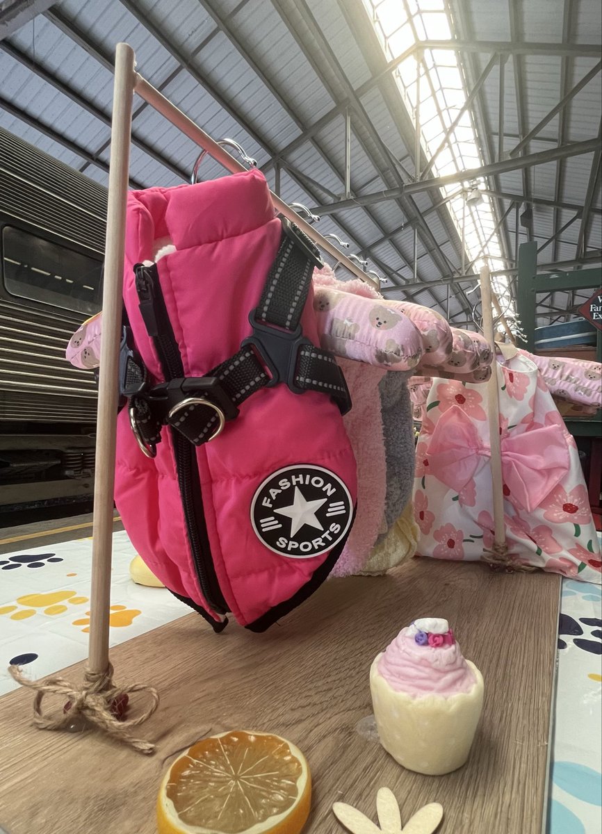 AGSWH26's tweet photo. ¡Hoy estamos de feria! 🚂✨ AG'S WAREHOUSE se une a Central Makers en el Coast Railroad Museum. Ven a disfrutar de un día único lleno de talento local, creatividad y trenes históricos. ¡No te lo pierdas! 👇
📍 Coast Railroad Museum
📅 SOLO HOY
#Feria #TalentoLocal #CentralMakers https://t.co/0alTxKrfLx