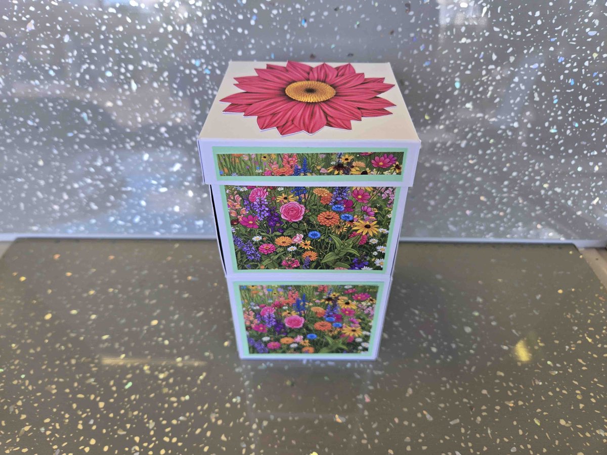 craftblisspoole's tweet photo. Brighten someone's day at Craft Bliss! 🌸 Craft a 3D Flower Presentation Box with falling sides &amp; paper blooms on 4, 5 &amp; 7 Aug. Ideal Get Well gift! Just £10 for 2 hours, all tools, tutorial, tea &amp; biscuits. ☕️ Book: https://t.co/eGmqdXoCnB or call 01202 88 99 55. https://t.co/iM8bMBSSGD