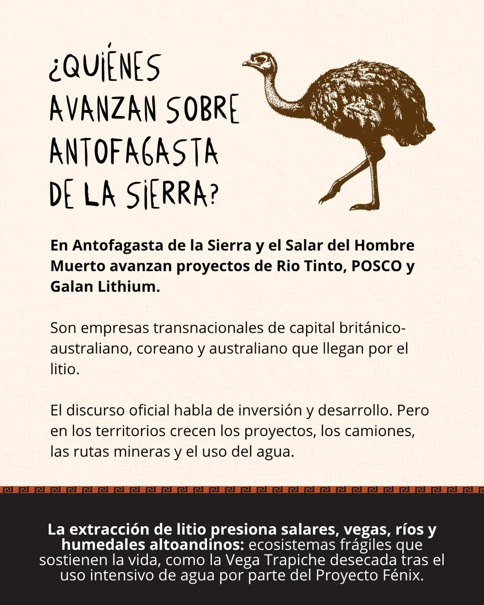 ramiroarganaraz's tweet photo. En Catamarca, más del 8% de las tierras rurales ya está en manos extranjeras. En una provincia con salares, ojos de agua, montañas, fronteras y minerales estratégicos, debilitar controles es poner en riesgo la soberanía territorial.
https://t.co/mydxAwawaE https://t.co/K0q510QUrl