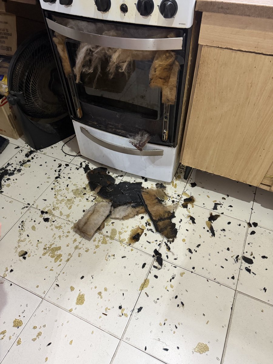 AdrielGambini's tweet photo. Que pasó acá @WhirlpoolCorp y @WhirlpoolLatam ???
Me estallo encima, cerrando el vidrio del horno, ni siquiera llegué a cerrarlo y el vidrio me explotó https://t.co/mYV2IU1qLt