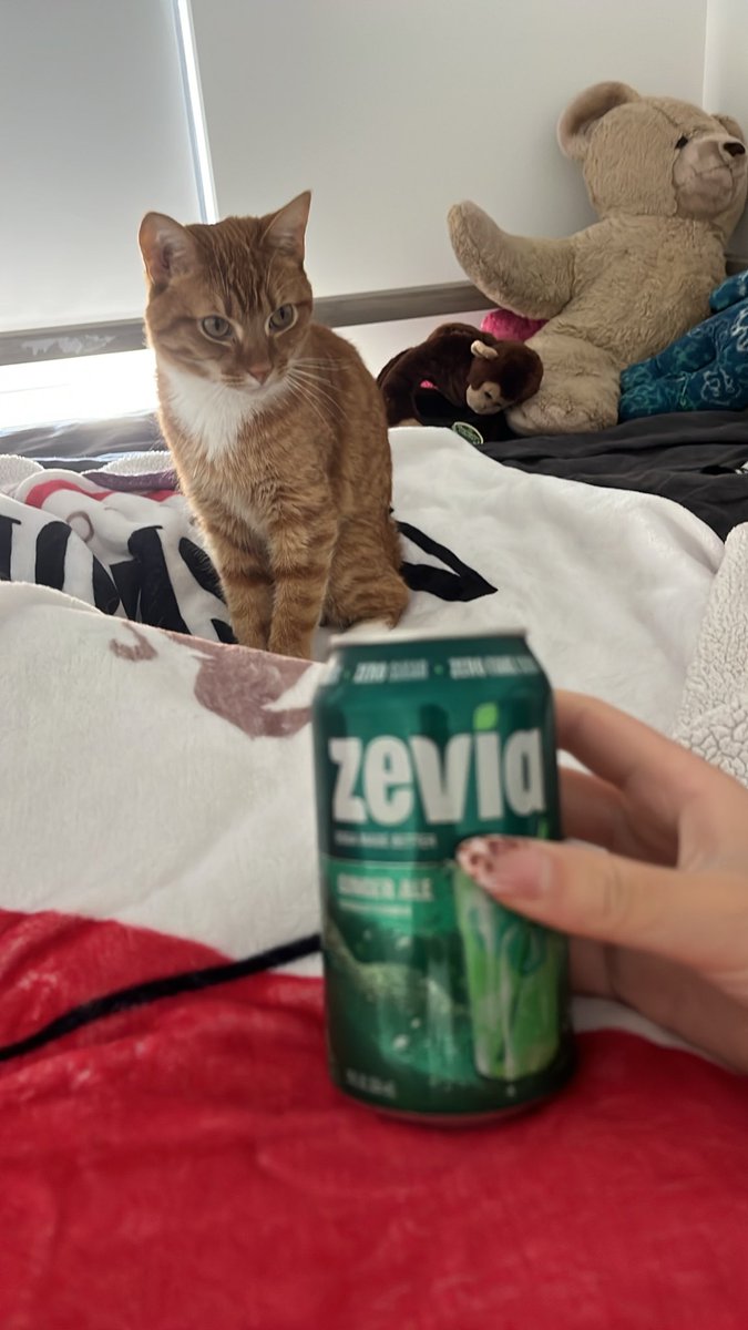 ryanrexicc's tweet photo. break fast 🙌😜🤣😍fat fuck still but 0 cal tho so idrc

i woke up and was tired so i grabbed it and am now laying in bed omg i need to go to the gym and accomplish smth today wym some people just wake up and run https://t.co/HFqDaAUb8P