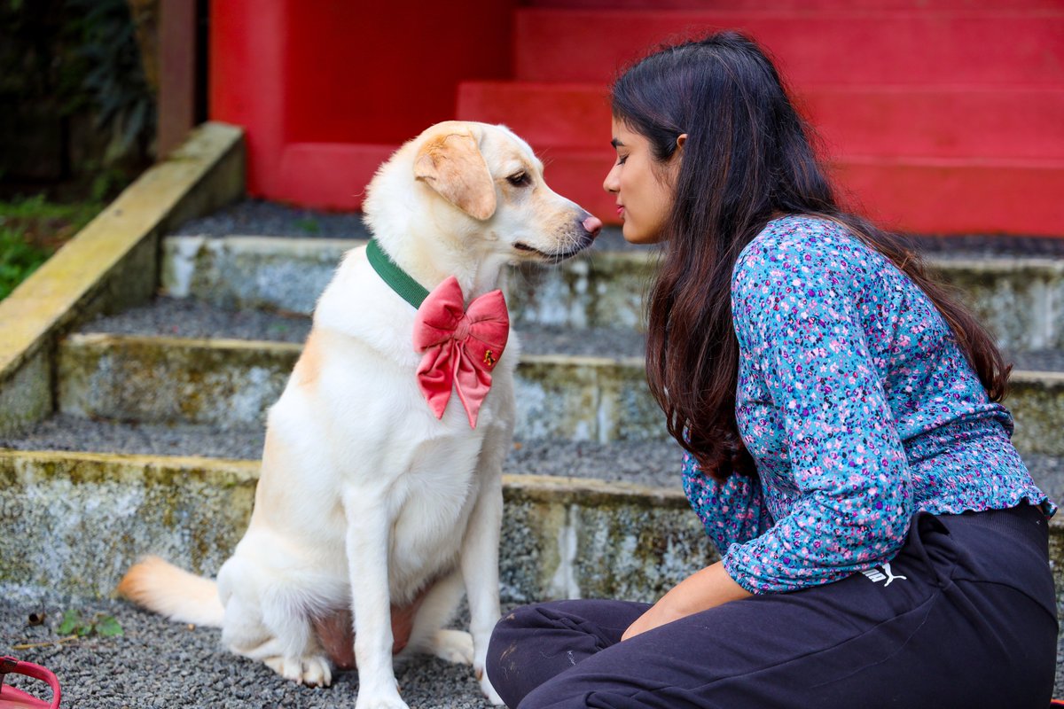 murulirajclicks's tweet photo. 🐾❤️ Double the paws, double the love.

Some moments don't need perfect poses—just genuine smiles, loyal companions, and memories that last forever. 🐕🐕

#doglovers #petphotography #germanshepherd #labrador #couplegoals #petparents #doglife #murulirajphotography #mrclicks https://t.co/BJULzB0oQw