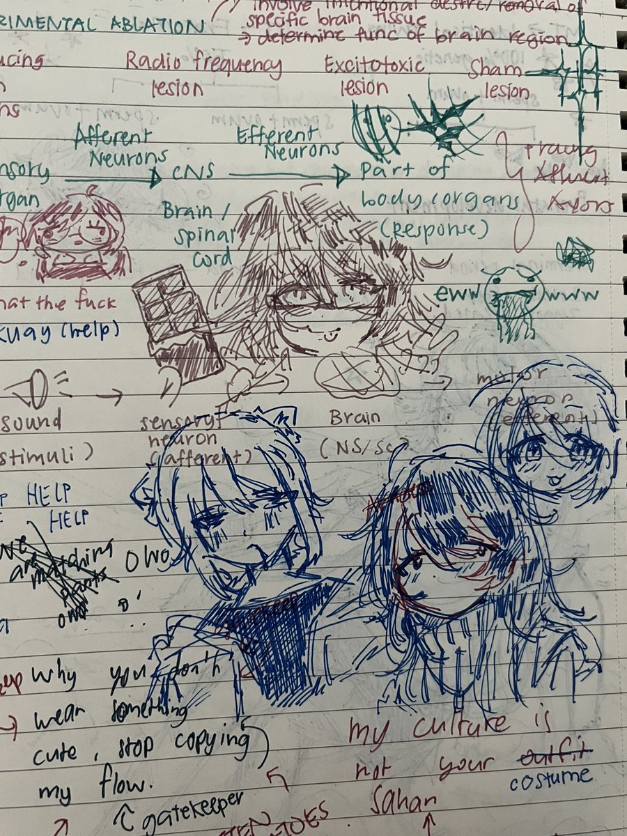 rurusama17's tweet photo. doodles in class https://t.co/LbwJjPVNb7