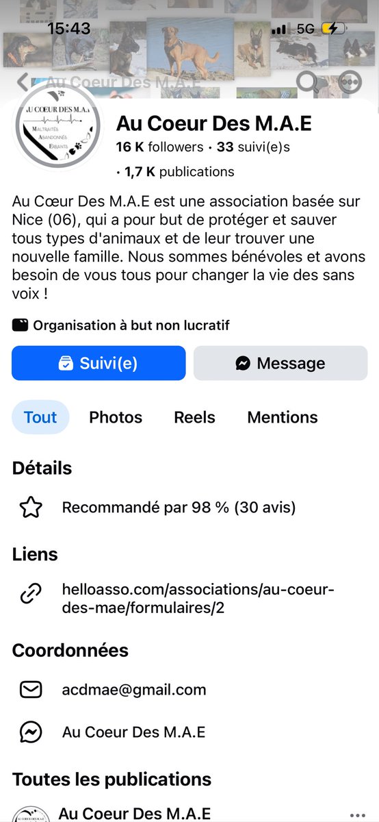 sylvie92958451's tweet photo. Diana une petite minette de 1 an avec son bébé recherche une famille, elle est très triste . L’association est à Nice. Merci de partager pour l’aider à trouver une gentille maman.😪🥹💔🙏🙏🙏🆘🆘🆘🆘 https://t.co/sSHKnHCku7