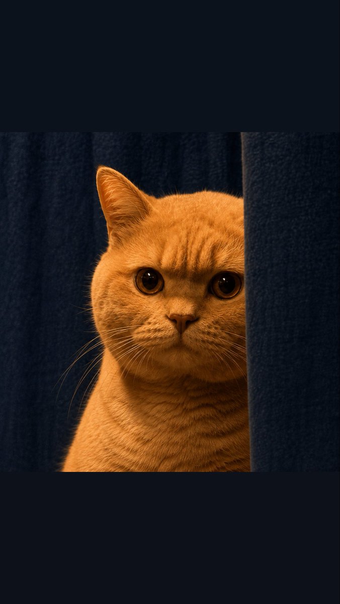 ChubbyCoinccb's tweet photo. https://t.co/RxP57z1V2B