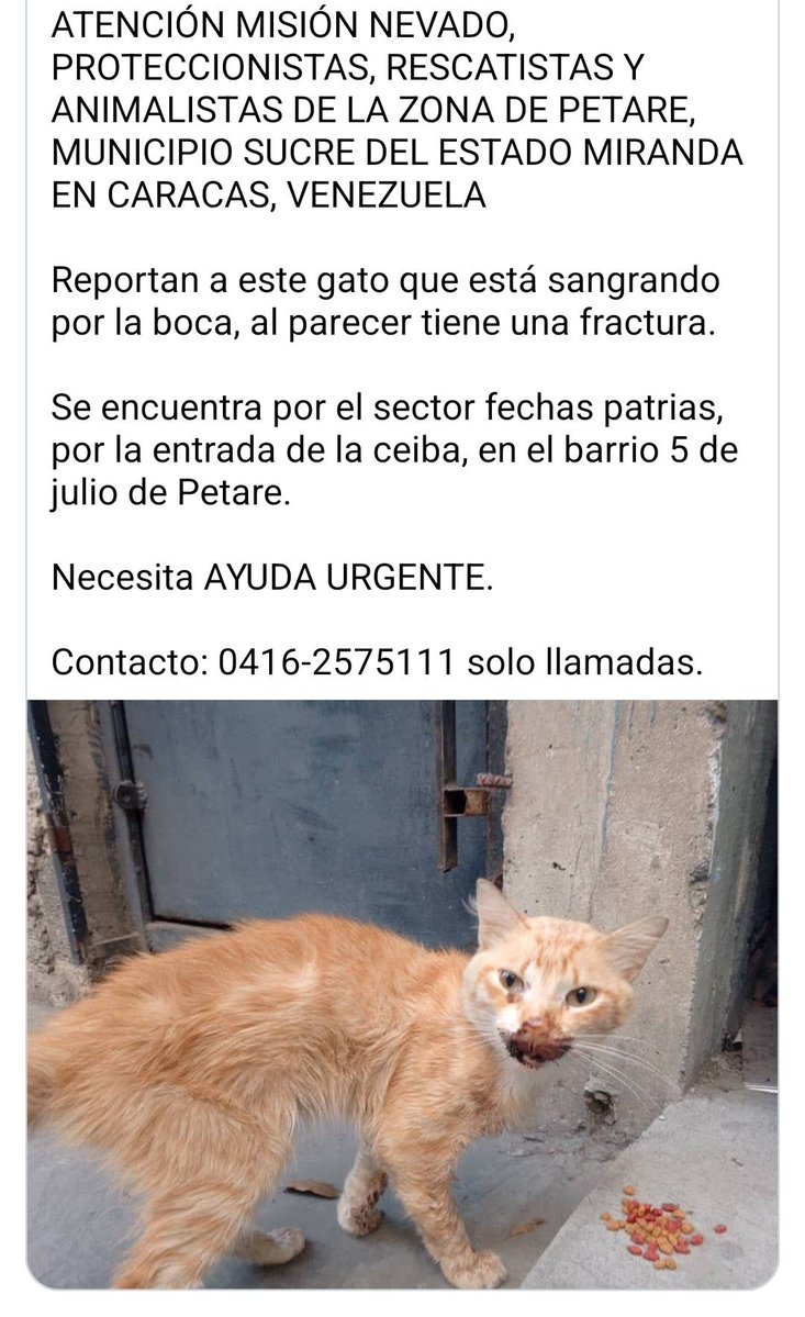 PerroUsuario's tweet photo. 🆘️🆘️ Necesita atención inmediata 🆘️🆘️🆘️ https://t.co/cxqsSOVnjz