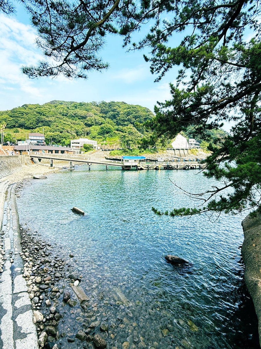 stl_hokia's tweet photo. 日本の夏は、緑と青と白で溢れている🎐 https://t.co/gWlh4Z4d9V