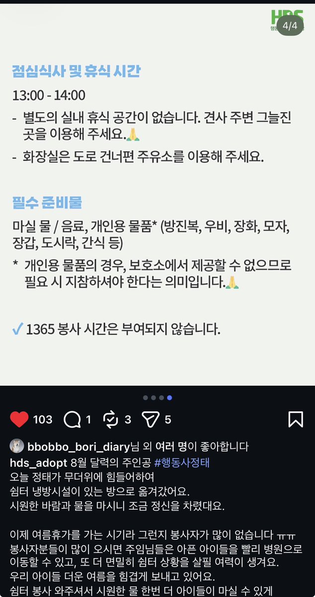 Suwoul_Seoul's tweet photo. 와 지금 더위 이게 맞나요?? 밤에도 이렇게 공기가 뜨겁다고요?? 실외견사에 있는 쉼터나 보호소 아이들은 어떡하나요?ㅠㅠ 행동사 실외견사 아이들 열사병으로 쓰러지고 있대요. 8월 한달만 이라도 임보와 보호소 봉사 부탁드립니다.
행동사 봉사 다녀오신 분들께 표고버섯 튀김 서비스 드릴게요ㅠㅠ https://t.co/e3n5fX7usM