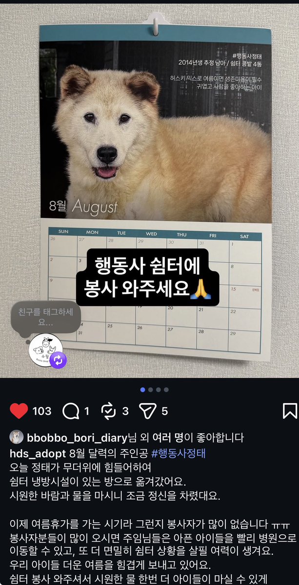 Suwoul_Seoul's tweet photo. 와 지금 더위 이게 맞나요?? 밤에도 이렇게 공기가 뜨겁다고요?? 실외견사에 있는 쉼터나 보호소 아이들은 어떡하나요?ㅠㅠ 행동사 실외견사 아이들 열사병으로 쓰러지고 있대요. 8월 한달만 이라도 임보와 보호소 봉사 부탁드립니다.
행동사 봉사 다녀오신 분들께 표고버섯 튀김 서비스 드릴게요ㅠㅠ https://t.co/e3n5fX7usM