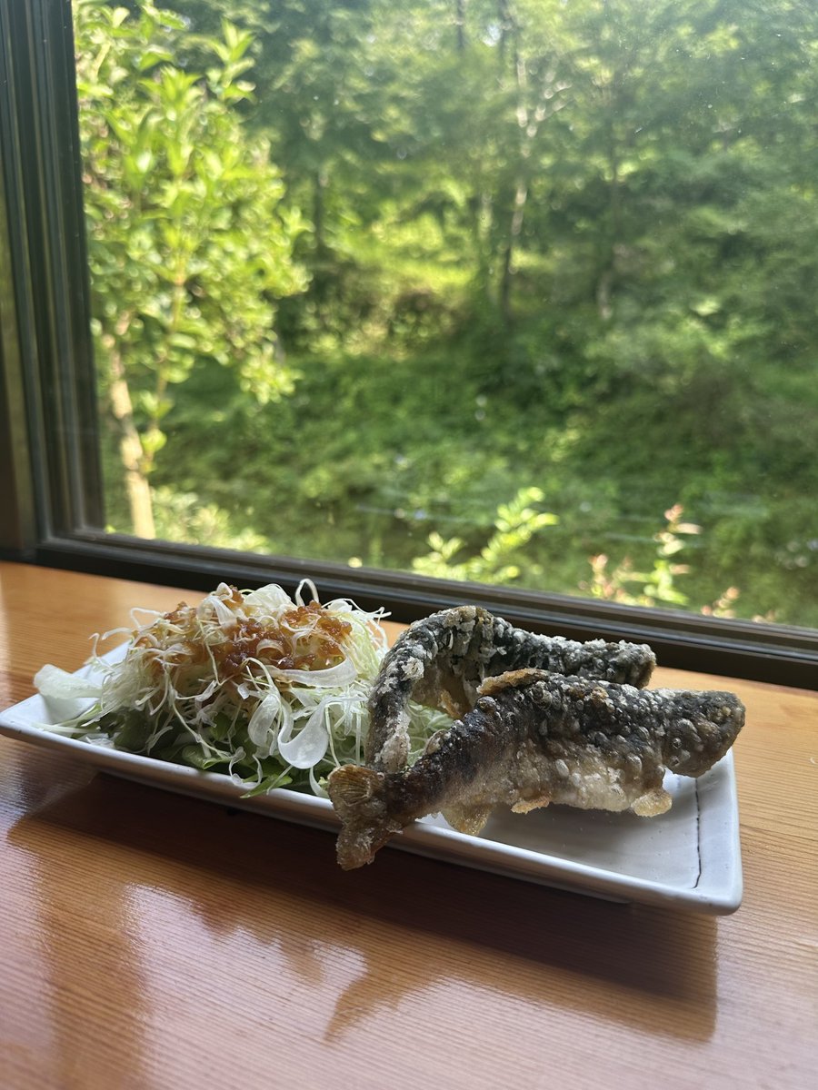 kexpe1's tweet photo. 釣り堀楽しかったし、唐揚げ最高に美味しかった
久しぶりにいい休日だった〜
 #日常垢  #日常垢さんと繋がりたい https://t.co/XjFy65FKXq