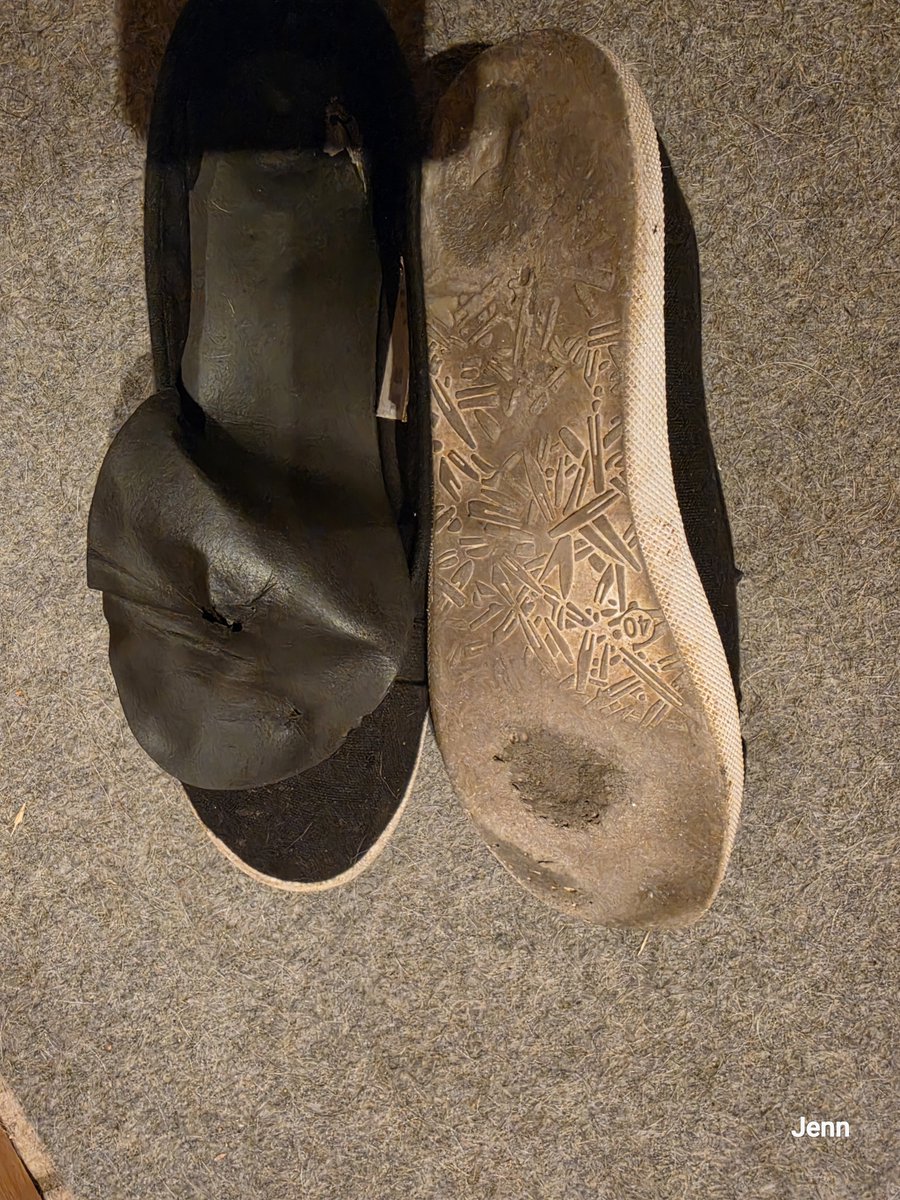 JNightfrozen's tweet photo. Na du #schuhe #Schnüffler. Möchtest du daran #riechen und #lecken ? Na dann los! Du darfst diese gerne bei mir #abholen oder per #Versand
#LadyNightfrozen #bdsm #sm #fetisch #schufetisch #Füße #Füsse https://t.co/xIb8veTaPM