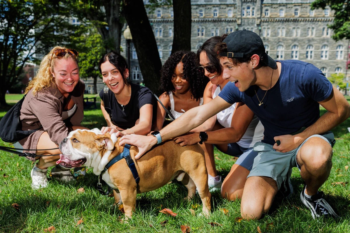 students pet jack the bulldog 