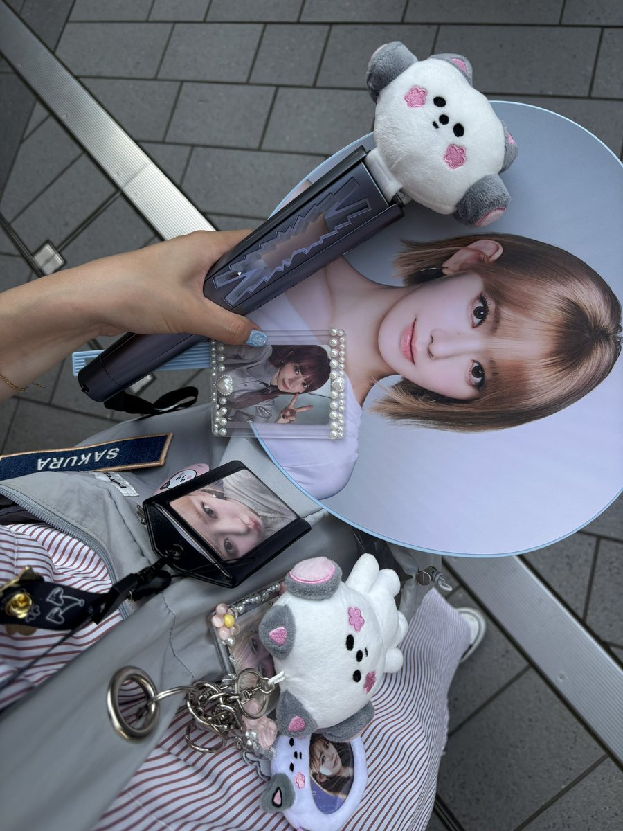 eiennowizone's tweet photo. 毎年もりもりになっていくグッズたち、我ながら組み合わせかわいいと思う🌸 https://t.co/2s8gZ3ZZjr