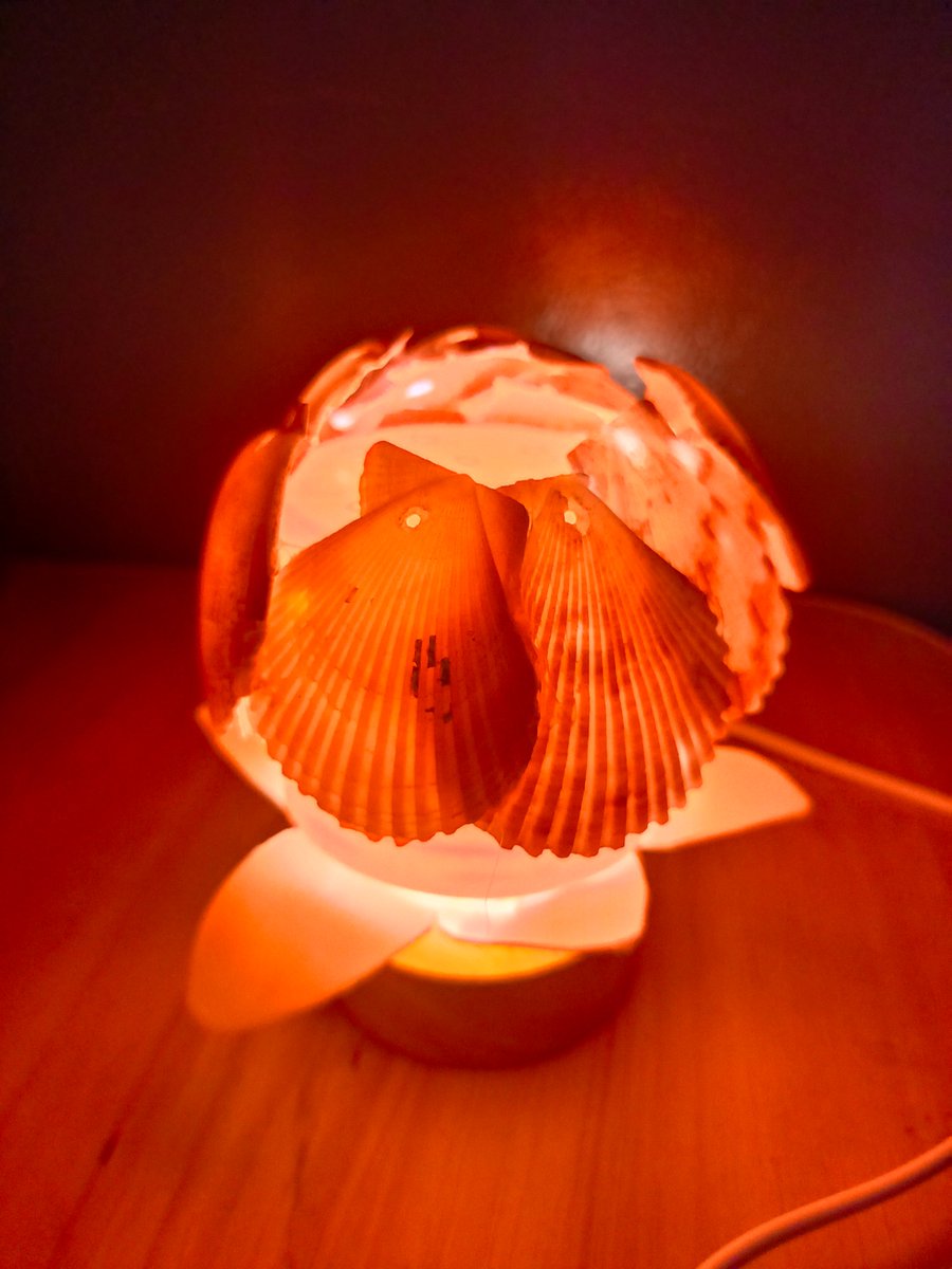 DannMaasen8vgb's tweet photo. Turn an old mason jar and scrap fabric into a cute night light in 5 mins—no fancy tools needed! Perfect for cozy late nights ， https://t.co/V4KtgeQ8ej