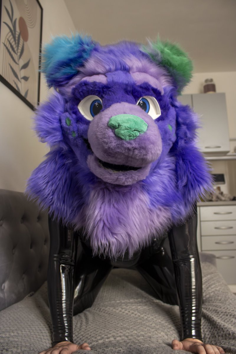 EvilZipBomb's tweet photo. Did someone say latex ????

📸: @dathgiev

#furry #fursuir #shiny #rubber #latex #dumbassdog https://t.co/wt4JljuYBE