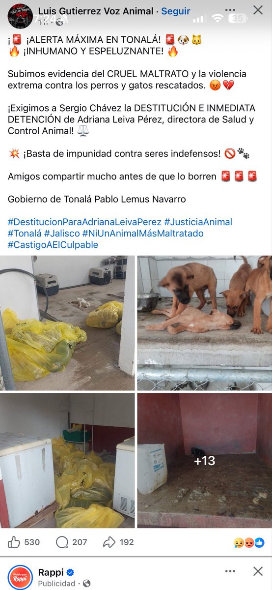 kittycatdu's tweet photo. @SergioChavez_D Maldito hdp 😡 #narcopartidomorena https://t.co/s4DMKKFpcL