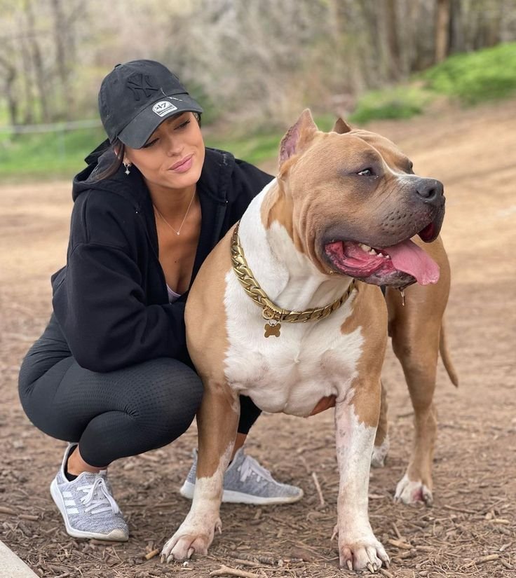 bianca_ros46's tweet photo. Every walk turns into a new adventure when my pup leads the way. 🐾❤️ From wagging tails to unforgettable moments, there's always something to smile about. Follow along and join the fun—you won't want to miss what's next! 🐶✨
https://t.co/pQihEWc2zg https://t.co/lfHCaxPZ7q
