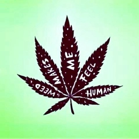 AndreasMel5645's tweet photo. @willowtheghoth Cannabis 🤣😁 https://t.co/bWxx1umqkl