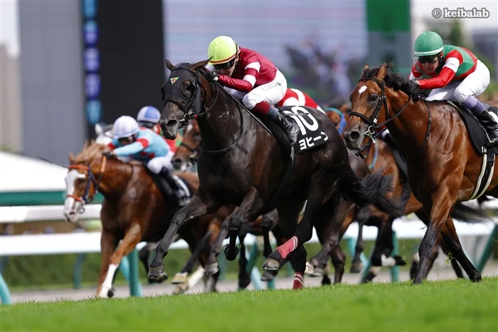 keibalab's tweet photo. 【Stronger】
本日の札幌競馬場には藤田晋社長も来場。メインのSTV賞を愛馬ヨヒーンが制し表彰台に。
#ヨヒーン #鮫島克駿 #藤田晋 
https://t.co/2k3q4SJB1W https://t.co/fkG10o9SAW
