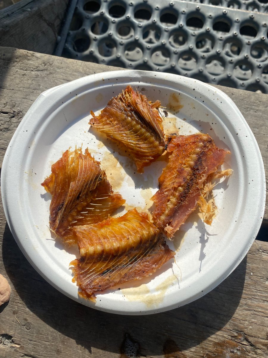 Oskosh4's tweet photo. Gemini says to leave meat on when I crush arctic char bones for bone meal, yay or nay? https://t.co/AzCTIEitmi
