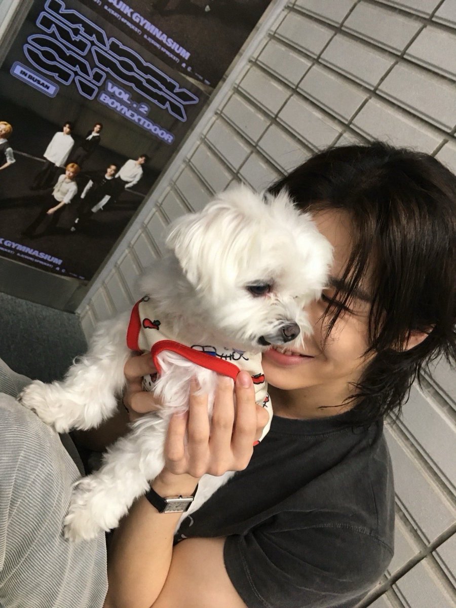 ihanfm's tweet photo. HE LOOKS SO HAPPY TO MEET CONNIE AFTER SO MANY DAYS AWW 😭😭😭😭 https://t.co/PDOqlteBCY