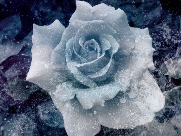 cch217 tweet picture