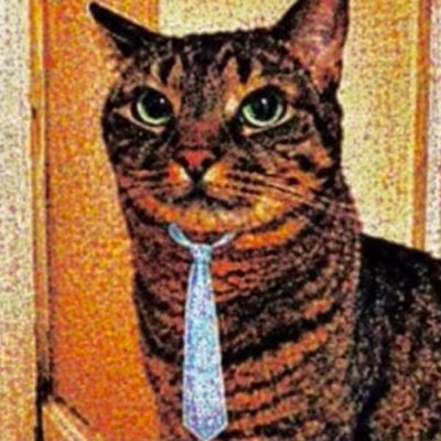 alipotata's tweet photo. #NewProfilePic https://t.co/QhSMPV5tU3