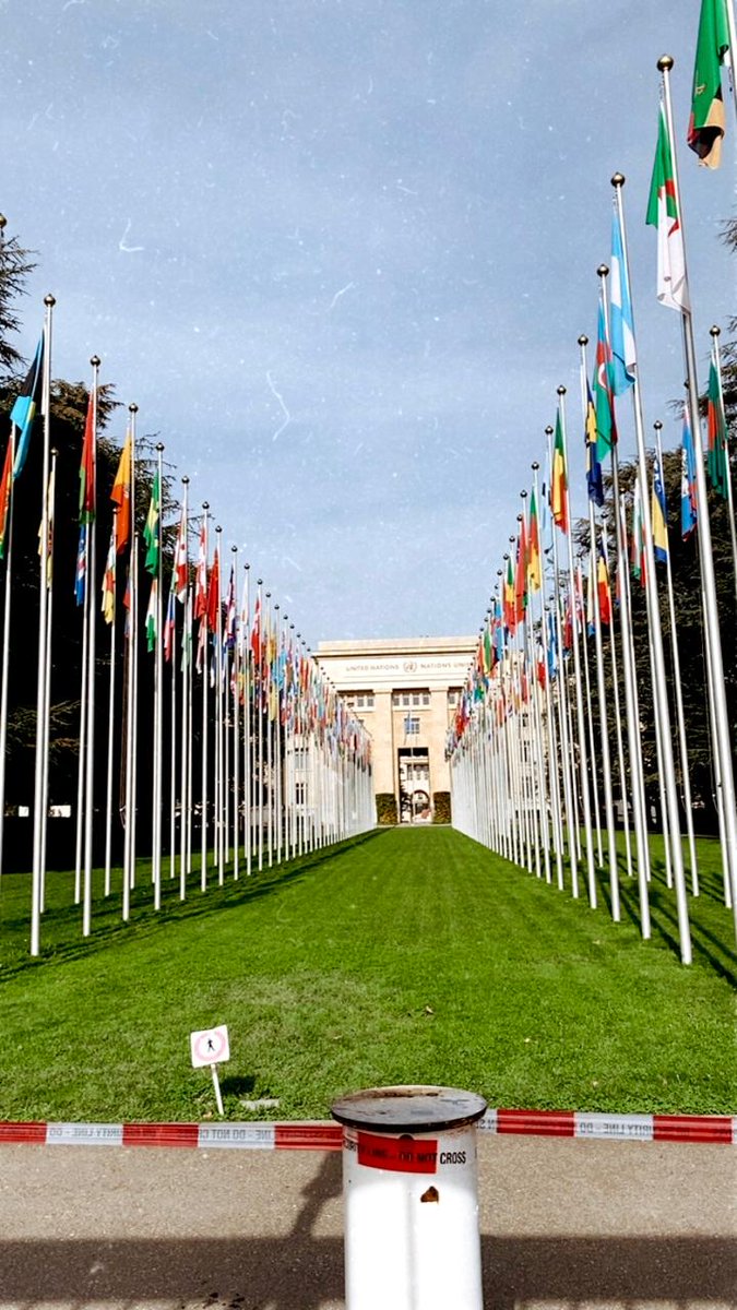IfcrbpGeneva's tweet photo. Celebrating Swiss National Day — A Legacy of Dialogue, Unity and Peace. On this special day, we join Switzerland in celebrating its National Day, As a NGO (IFCRBP) is honoured to be part of a country whose history reflects a strong commitment to dialogue and humanitarian values. https://t.co/jDZ3KlPYT9