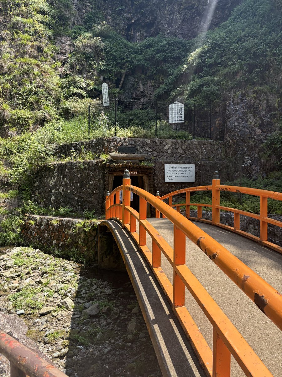 cher_ry0's tweet photo. 八月始まりましたね https://t.co/ApSXgcSvPU