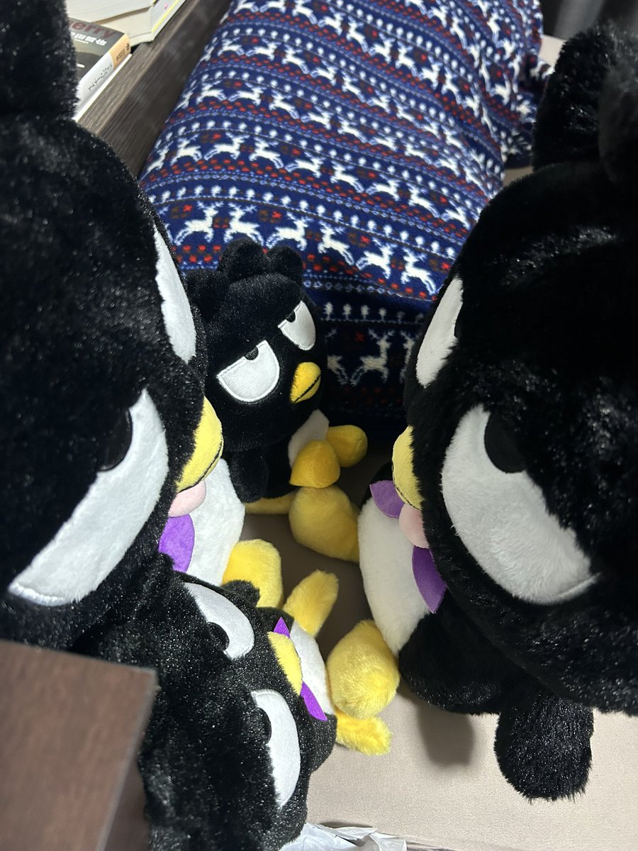 nodoka120_'s tweet photo. https://t.co/sRYaeRpLEH