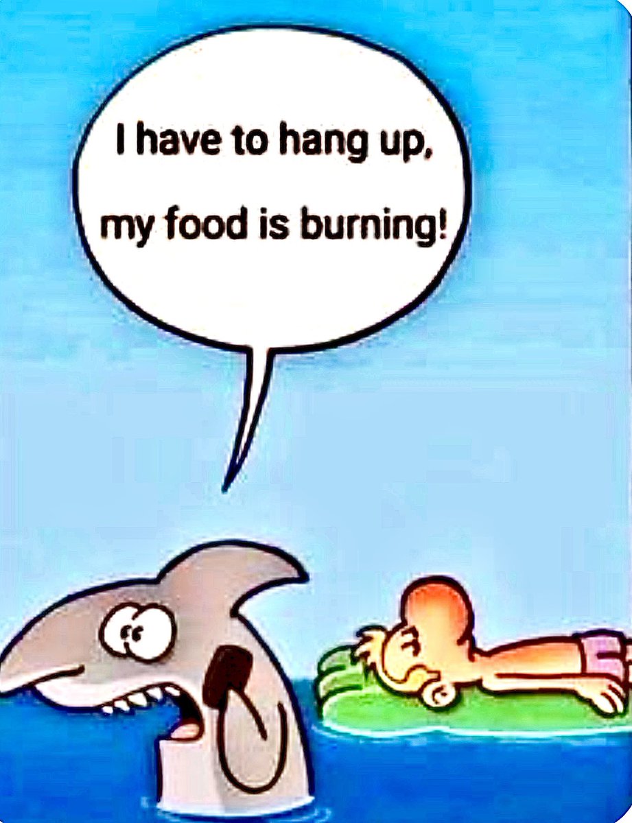 NYGal0424's tweet photo. Hello Augustπ
#SummerHumor https://t.co/exxX4zaWLx