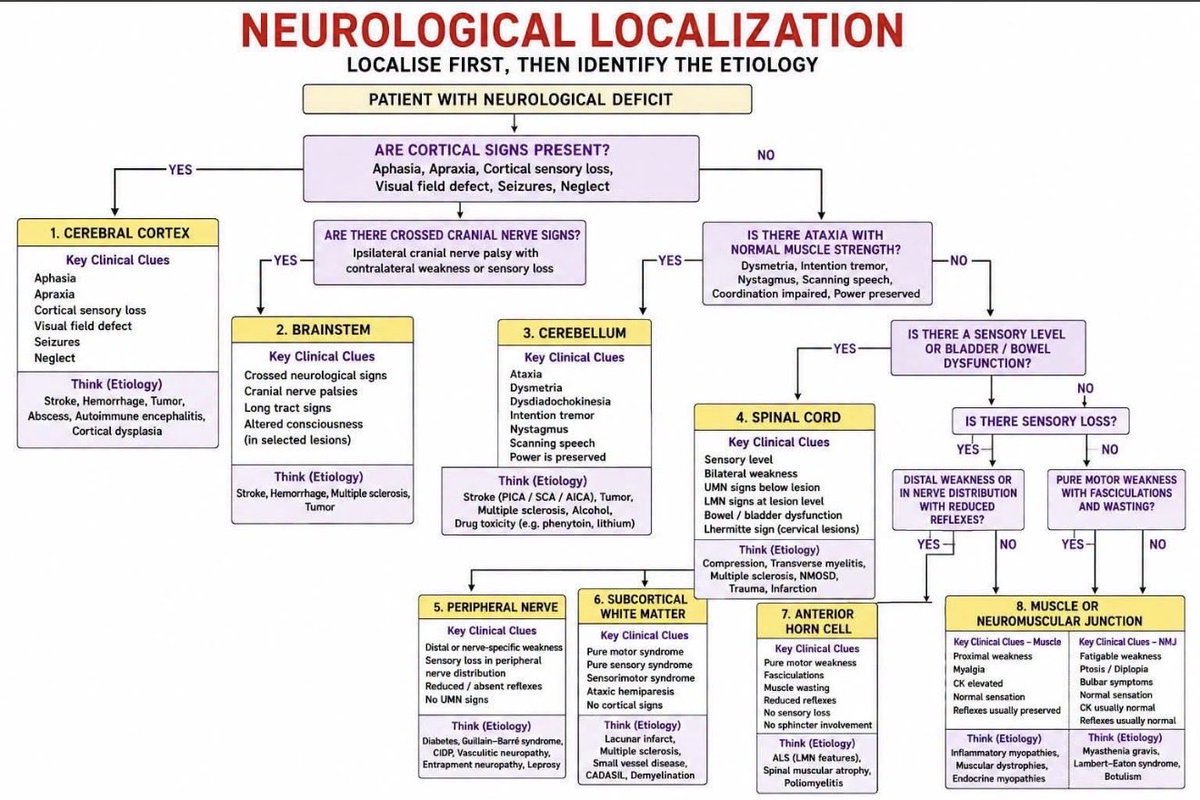 Medicalinfo111's tweet photo. Neurological localization https://t.co/LYM5eMVS0F